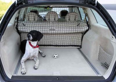 REDE DE PROTEÇAO "BU...